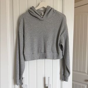ALO cropped hoodie